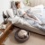 Curver Cozy Pet Bed kat