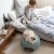 Curver Cozy Pet Home review test