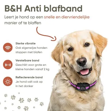 B&H anti blafband test